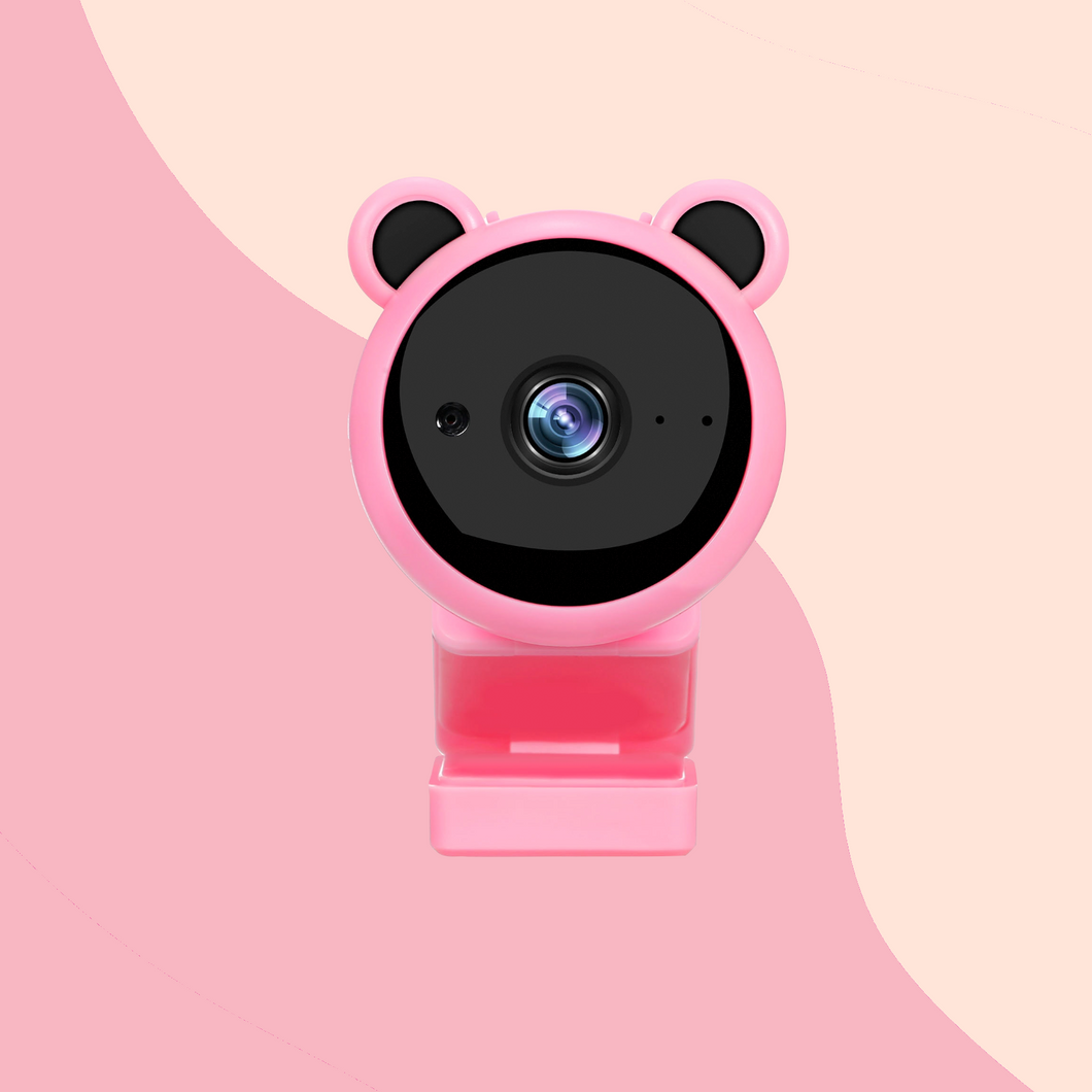 Pink Teddy Bear Camera