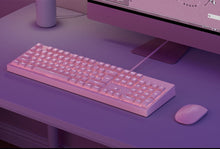 Cargar imagen en el visor de la galería, DSK100 - Teclado Rosa Ergonómico - 104 teclas
