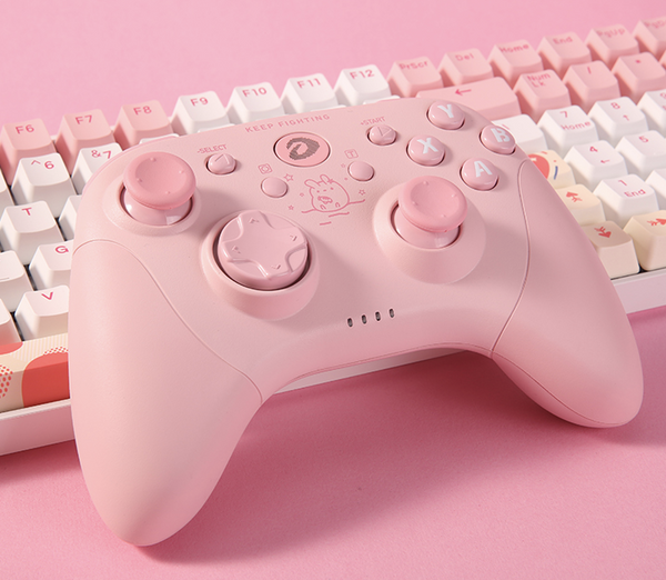 Pinky Bunny Controller - Dareu H101x - Nintendo Switch, PC & Android Controller