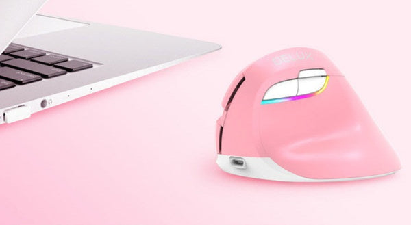 Ergonomic Wireless Mouse - Delux M618 Mini